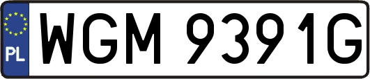 WGM9391G