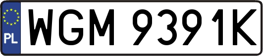 WGM9391K
