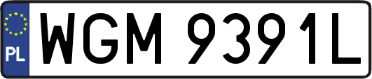 WGM9391L
