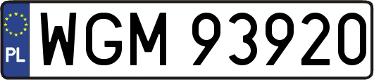 WGM93920