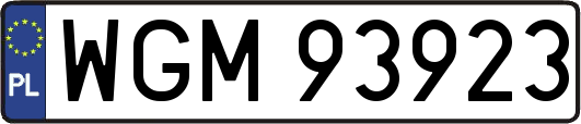WGM93923