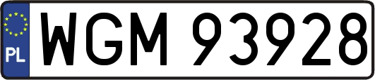 WGM93928