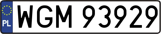 WGM93929