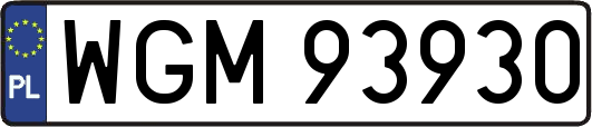 WGM93930