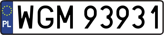 WGM93931