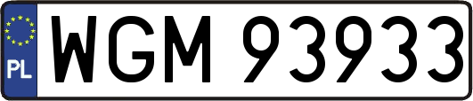 WGM93933