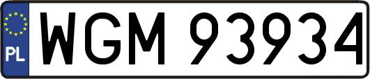 WGM93934