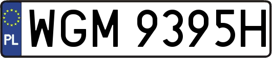 WGM9395H