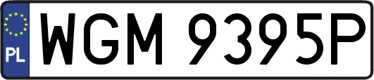 WGM9395P