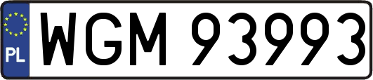 WGM93993