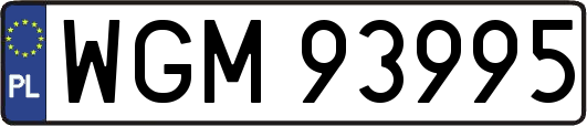 WGM93995