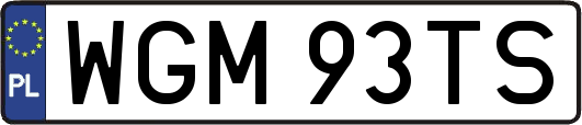 WGM93TS