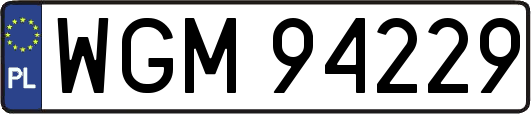 WGM94229
