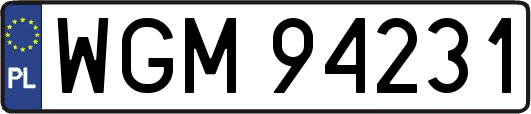 WGM94231