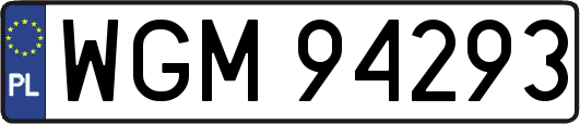 WGM94293