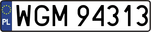 WGM94313