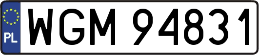 WGM94831