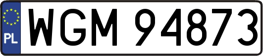 WGM94873