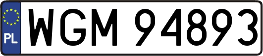 WGM94893