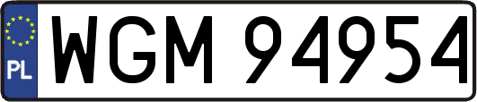 WGM94954