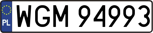 WGM94993