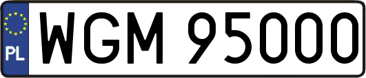 WGM95000