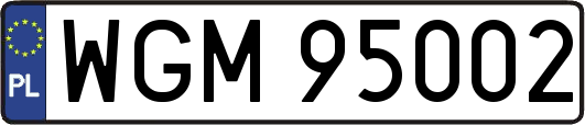 WGM95002