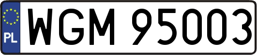 WGM95003