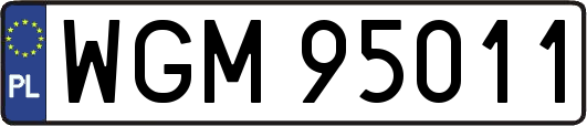 WGM95011