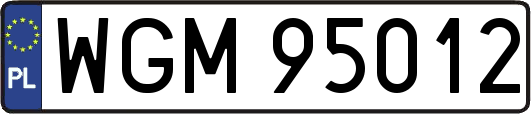 WGM95012