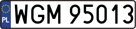 WGM95013