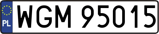 WGM95015