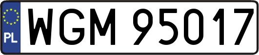 WGM95017
