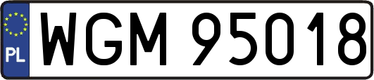 WGM95018
