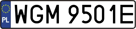WGM9501E