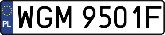 WGM9501F