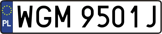 WGM9501J