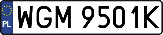WGM9501K