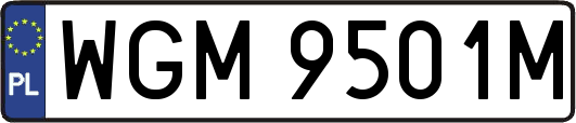 WGM9501M