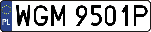 WGM9501P