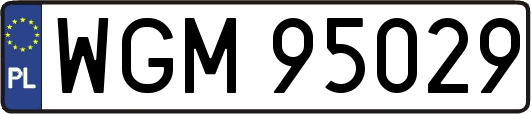 WGM95029