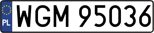 WGM95036