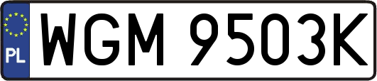 WGM9503K