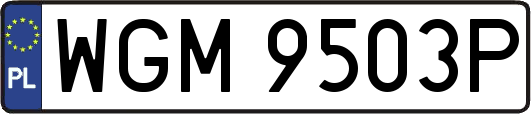 WGM9503P