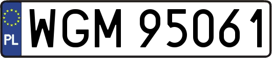 WGM95061