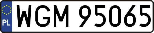 WGM95065