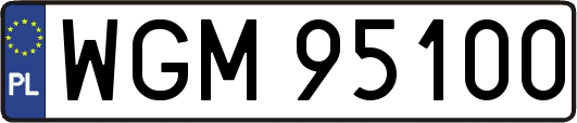 WGM95100