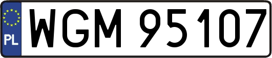 WGM95107