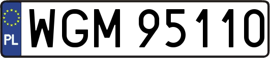 WGM95110