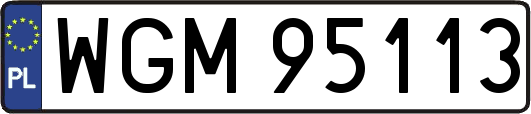 WGM95113
